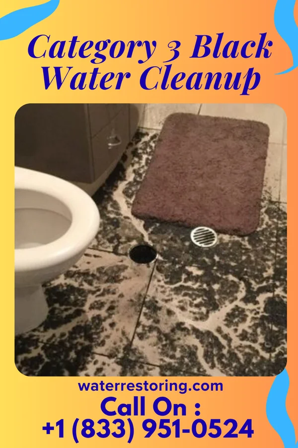 Category 3 Black Water Cleanup in Terrytown, LA